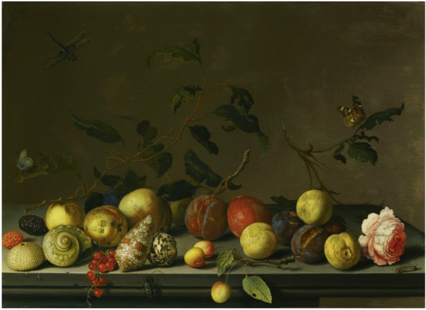 Lot 7. BALTHASAR VAN DER ASTMIDDELBURG 1593/94 - 1657 DELFT A STILL LIFE OF FRUIT AND SHELLS WITH A ROSE AND VARIOUS INSECTS UPON A STONE LEDGE Estimate:   300,000 - 400,000 GBP  signed lower right: .B.vander.Ast oil on oak panel 36.5 by 50.5 cm.; 14 3/8  by 19 7/8  in.